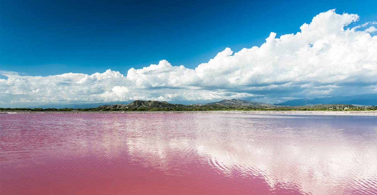  lagos cor de rosa